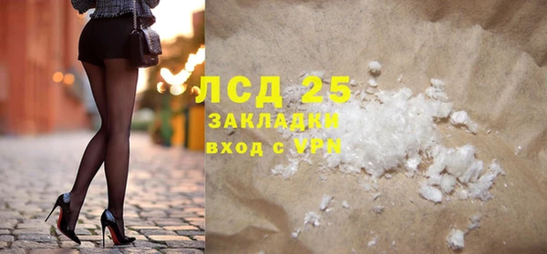 СК Новодвинск