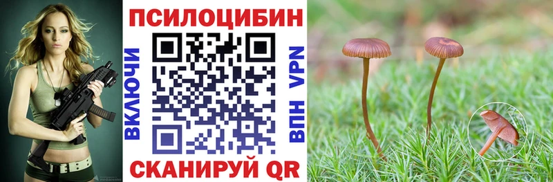Галлюциногенные грибы Psilocybine cubensis  дарнет шоп  Боровичи 