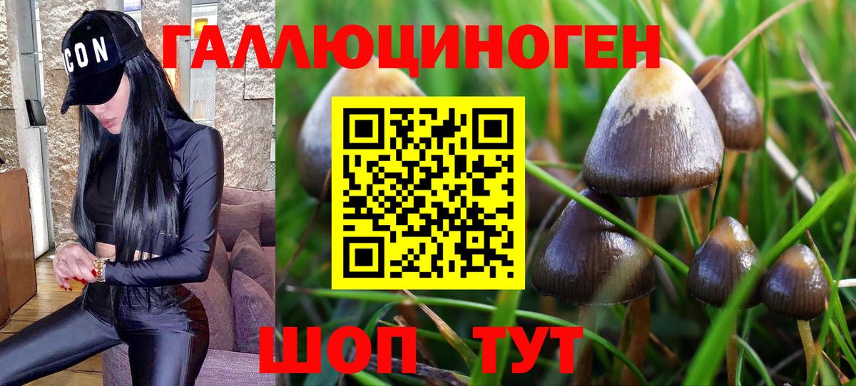 МЕФ кристаллы  Героин  Cocaine  Где продают наркотики?  LSD-25  Марихуана  Мефедрон кристаллы  Боровичи  ГАШИШ 